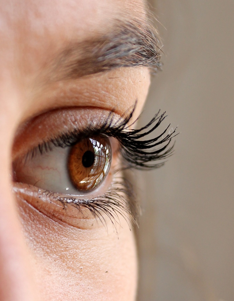 Grosinger Spigelman & Grey Eyelash Facts